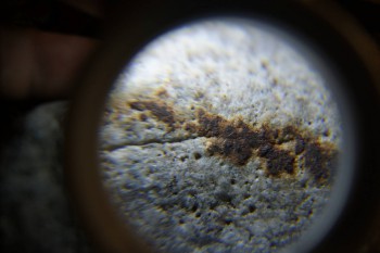 2017-02-24 03-39-10.JPG