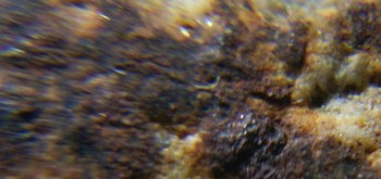 2017-02-24 03-39-20 (3).JPG