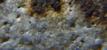 2017-02-24 03-39-20 (4).JPG