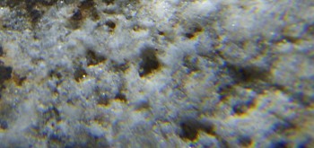 2017-02-24 03-37-50 (4).JPG