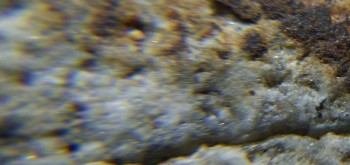 2017-02-24 03-39-04 (3).JPG