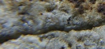 2017-02-24 03-39-04 (4).JPG