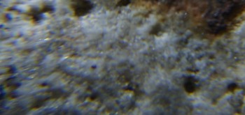 2017-02-24 03-39-10 (4).JPG