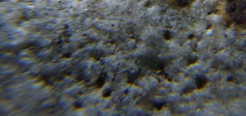 2017-02-24 03-39-10 (5).JPG