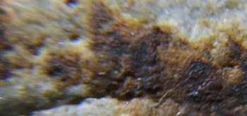 2017-02-24 03-39-10 (6).JPG