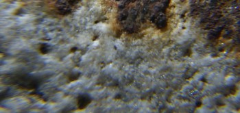 2017-02-24 03-39-20 (2).JPG