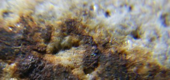 2017-02-24 03-39-20 (5).JPG