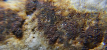 2017-02-24 03-39-32 (2).JPG