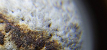 2017-02-24 03-39-32 (3).JPG