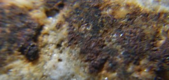 2017-02-24 03-39-32 (4).JPG