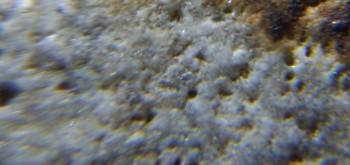 2017-02-24 03-39-32 (5).JPG