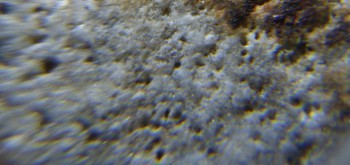 2017-02-24 03-39-32 (6).JPG