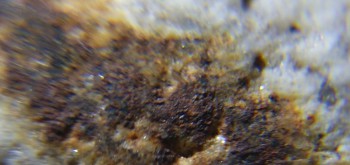 2017-02-24 03-39-36 (2).JPG