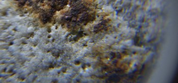 2017-02-24 03-39-36 (3).JPG