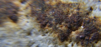 2017-02-24 03-39-36 (4).JPG