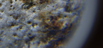 2017-02-24 03-39-36 (5).JPG