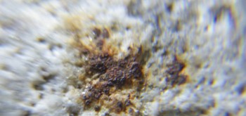 2017-02-24 03-39-46 (2).JPG