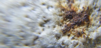 2017-02-24 03-39-46 (3).JPG