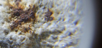 2017-02-24 03-39-46 (4).JPG