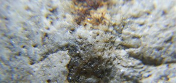 2017-02-24 03-40-06 (2).JPG