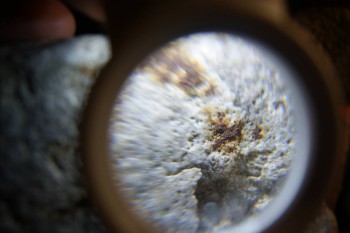 2017-02-24 03-39-46.JPG