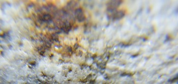 2017-02-24 03-40-06 (3).JPG