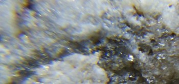 2017-02-24 03-40-06 (4).JPG