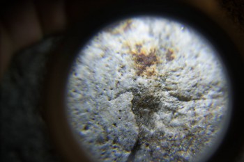 2017-02-24 03-40-06.JPG