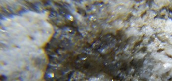 2017-02-24 03-40-26 (2).JPG