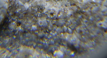 2017-02-24 03-40-26 (5).JPG