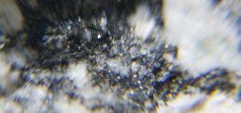 2017-02-08 13-37-56 (2).JPG