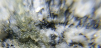 2017-02-08 13-38-12 (2).JPG