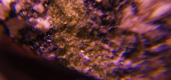 2017-02-08 13-38-16 (2).JPG