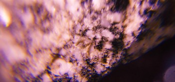 2017-02-08 13-39-18 (2).JPG