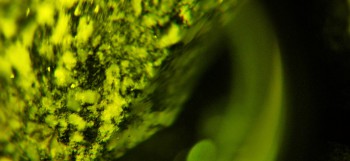 2017-02-08 13-39-24 (2).JPG