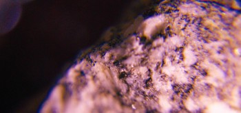 2017-02-08 13-39-32 (2).JPG