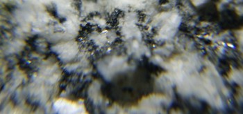 2017-02-08 13-39-58 (2).JPG