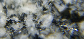 2017-02-08 13-39-58 (3).JPG