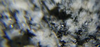 2017-02-08 13-40-10 (2).JPG