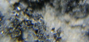 2017-02-08 13-40-28 (2).JPG