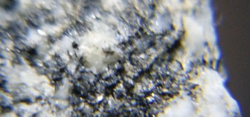 2017-02-08 13-40-48 (2).JPG