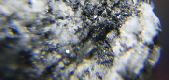 2017-02-08 13-40-48 (3).JPG