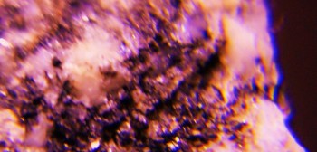 2017-02-08 13-40-48 (4).JPG