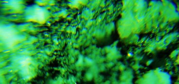 2017-02-08 13-41-24 (2).JPG