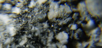 2017-02-08 13-41-24 (3).JPG