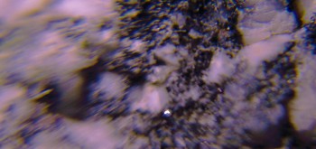 2017-02-08 13-41-32 (2).JPG