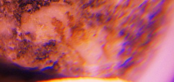 2017-02-08 13-42-04 (2).JPG