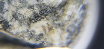 2017-02-08 13-42-04 (3).JPG