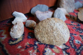 2017-02-07 08-32-22.JPG