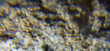 2017-02-07 08-32-40 (2).JPG